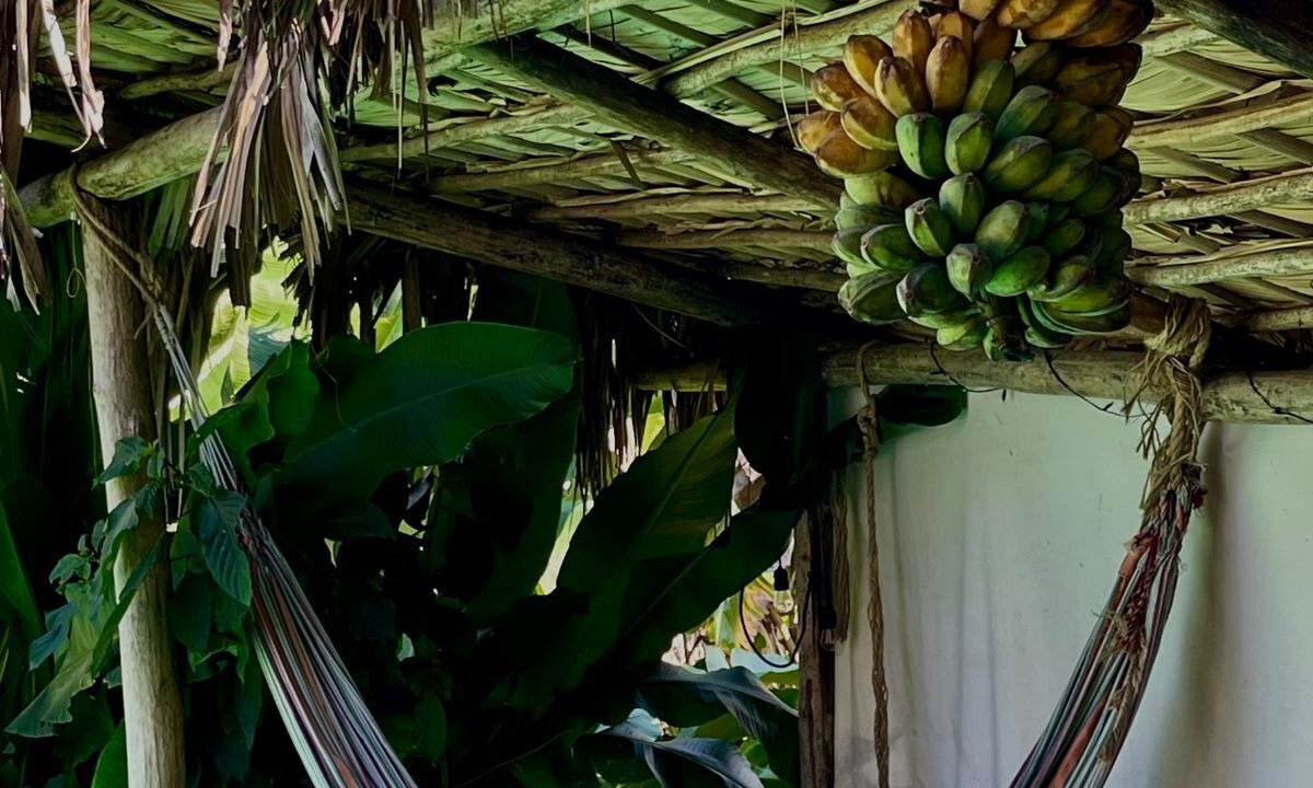 Photo of Outdoor in Samana