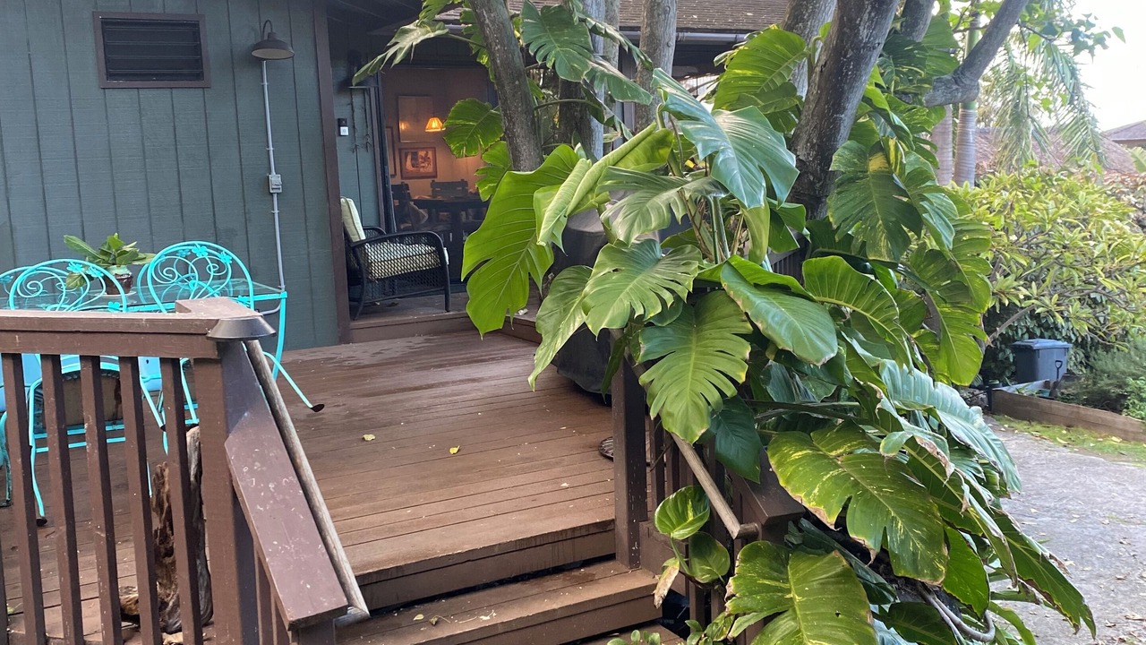 Photo of Outdoor in Waimanalo Beach