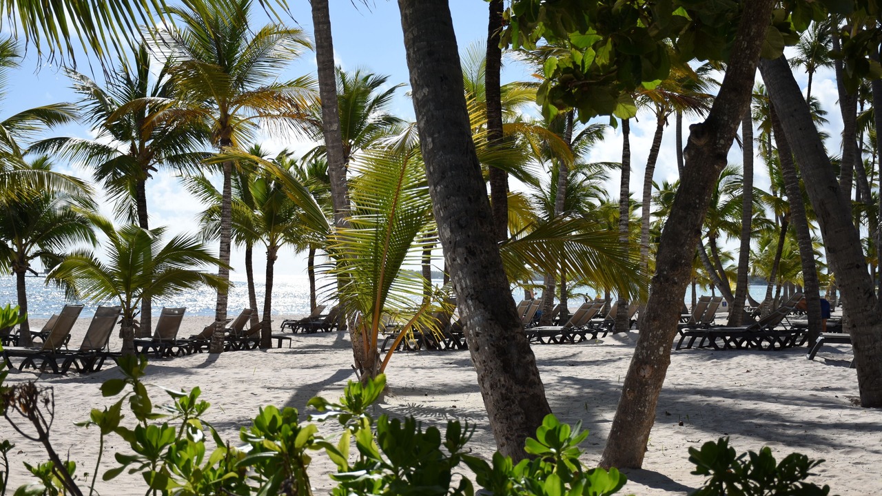 Photo of Others in Playa Bibijagua
