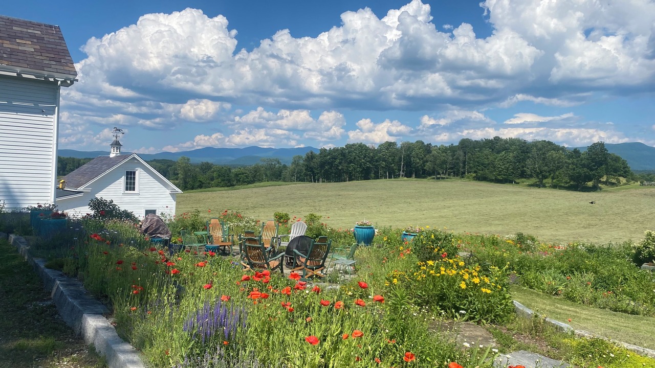 Photo of Outdoor in Brandon