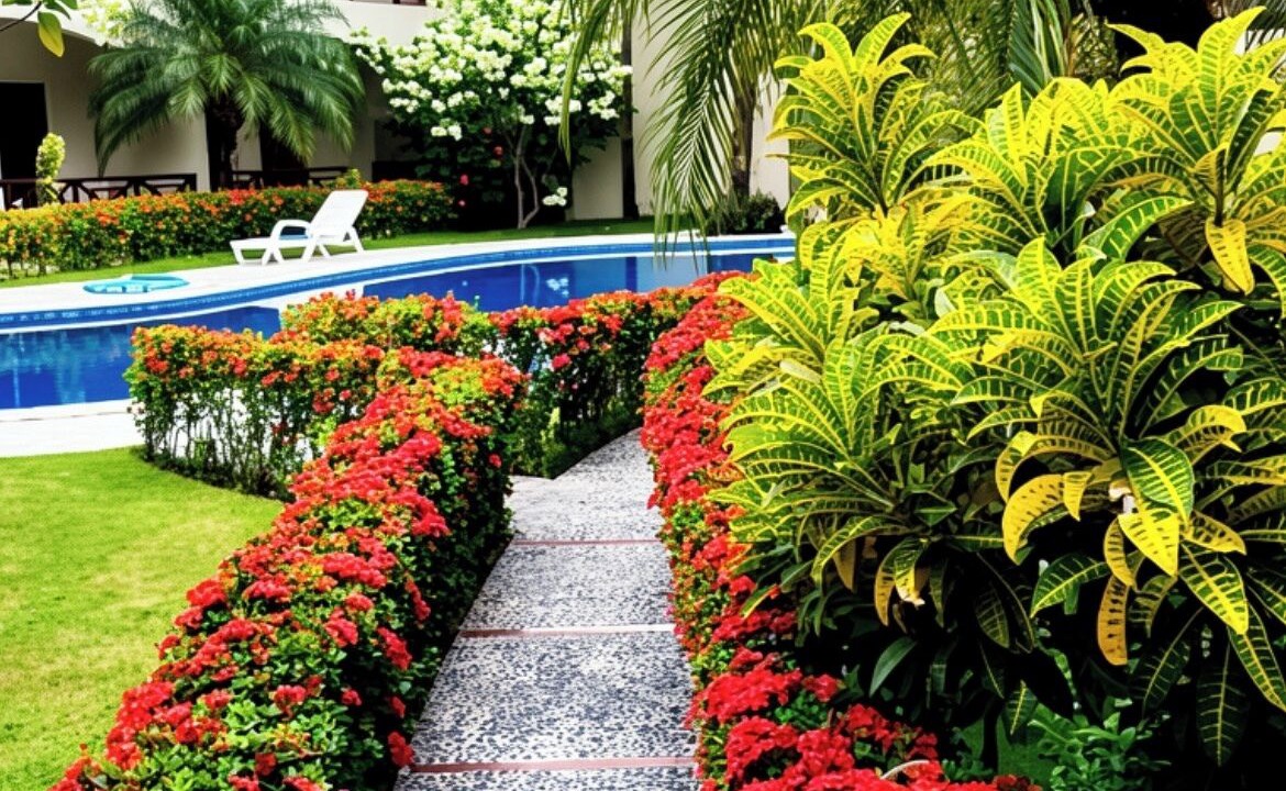 Photo of Outdoor in El Centro