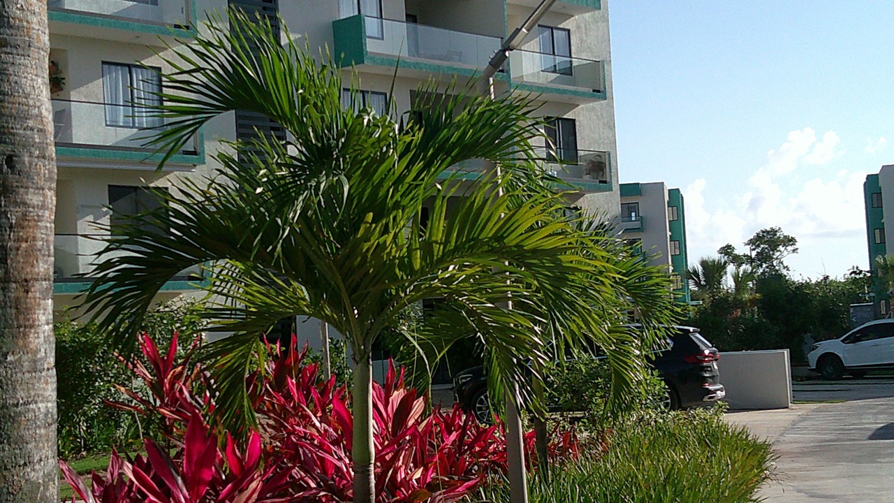 Photo of Outdoor in Veron