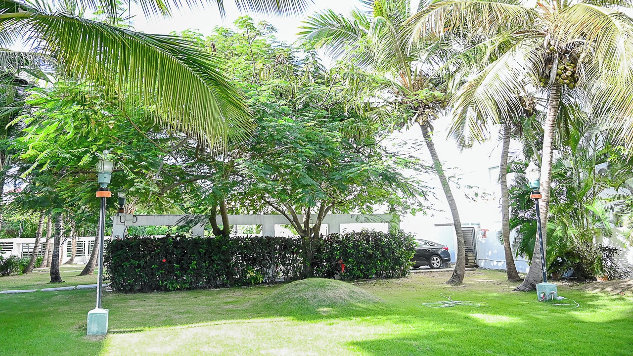 Photo of Outdoor in Playa Bibijagua