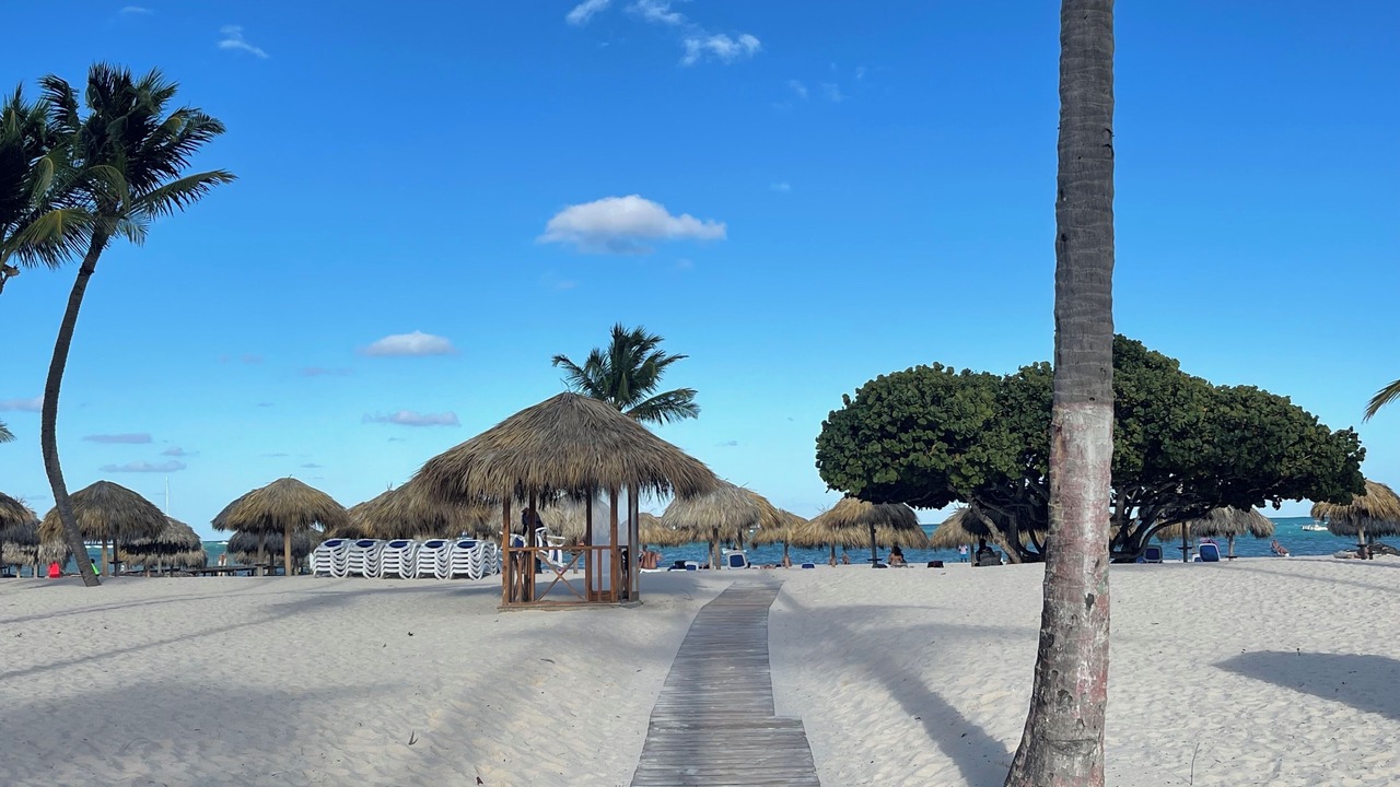Photo of Others in Playa Bibijagua