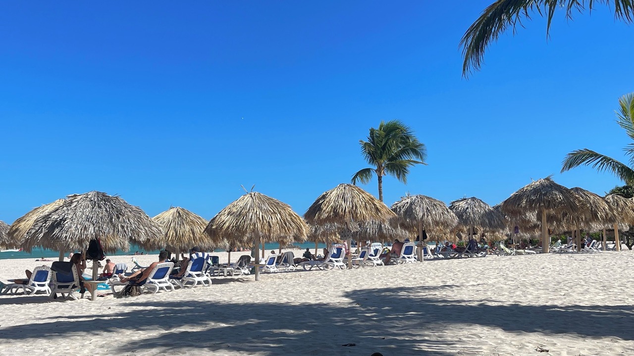 Photo of Others in Playa Bibijagua