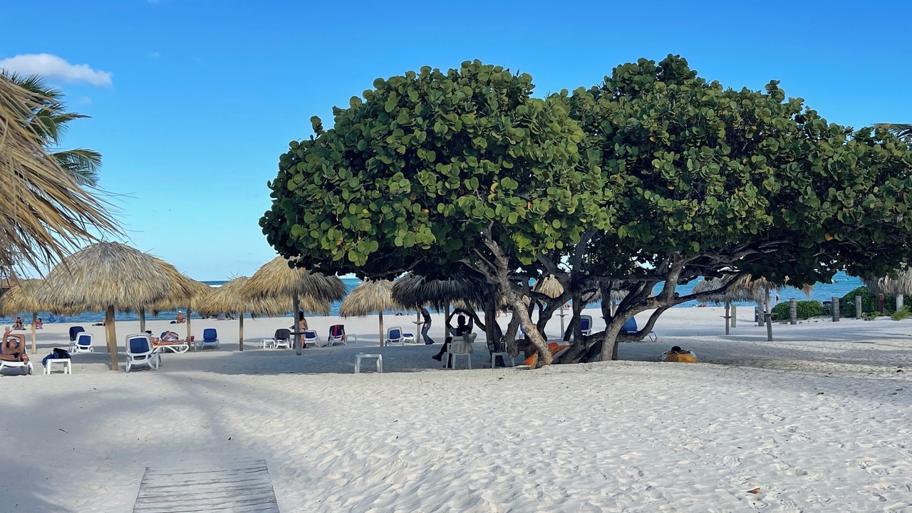 Photo of Others in Playa Bibijagua