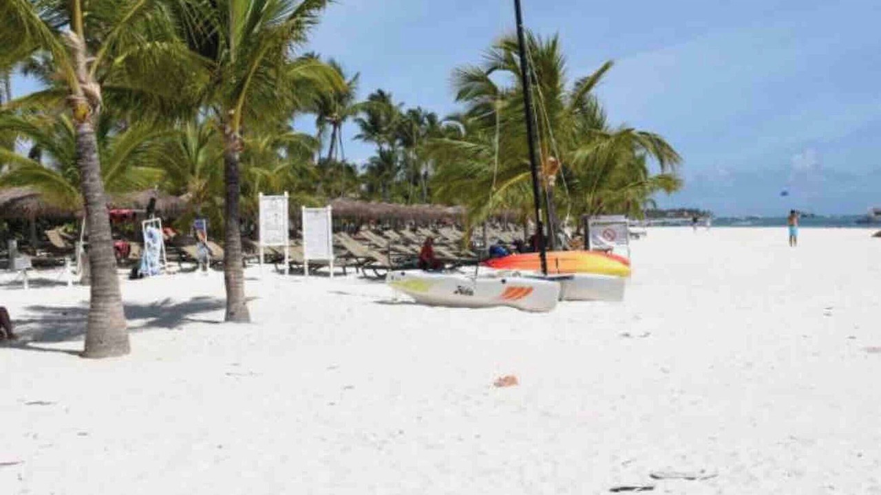 Photo of Others in Playa Bibijagua