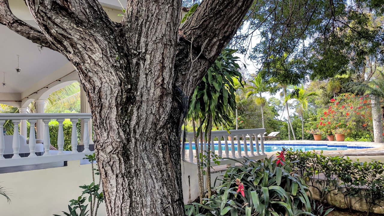 Photo of Patio Balcony in Urbanizacion Tavarez