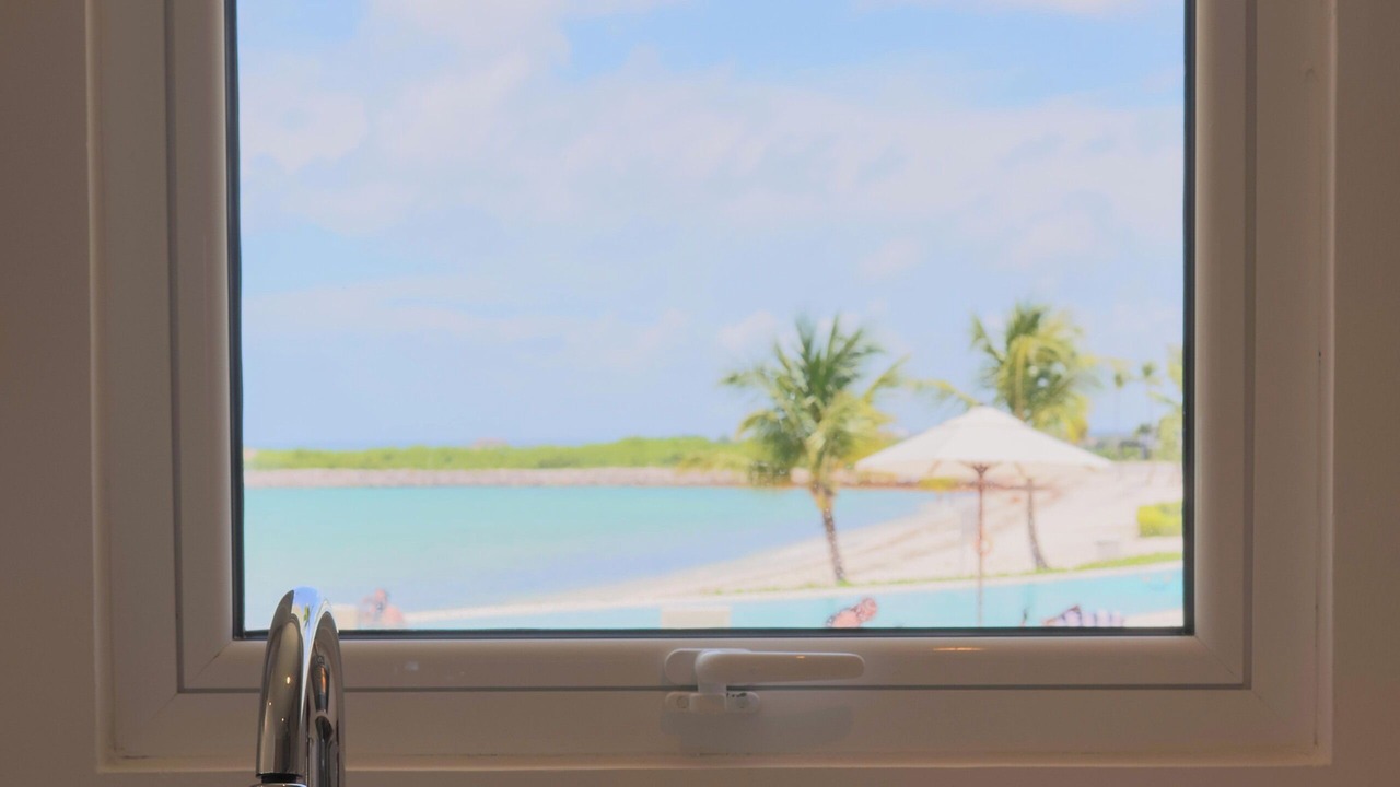 Photo of Others in Cap Cana Marina