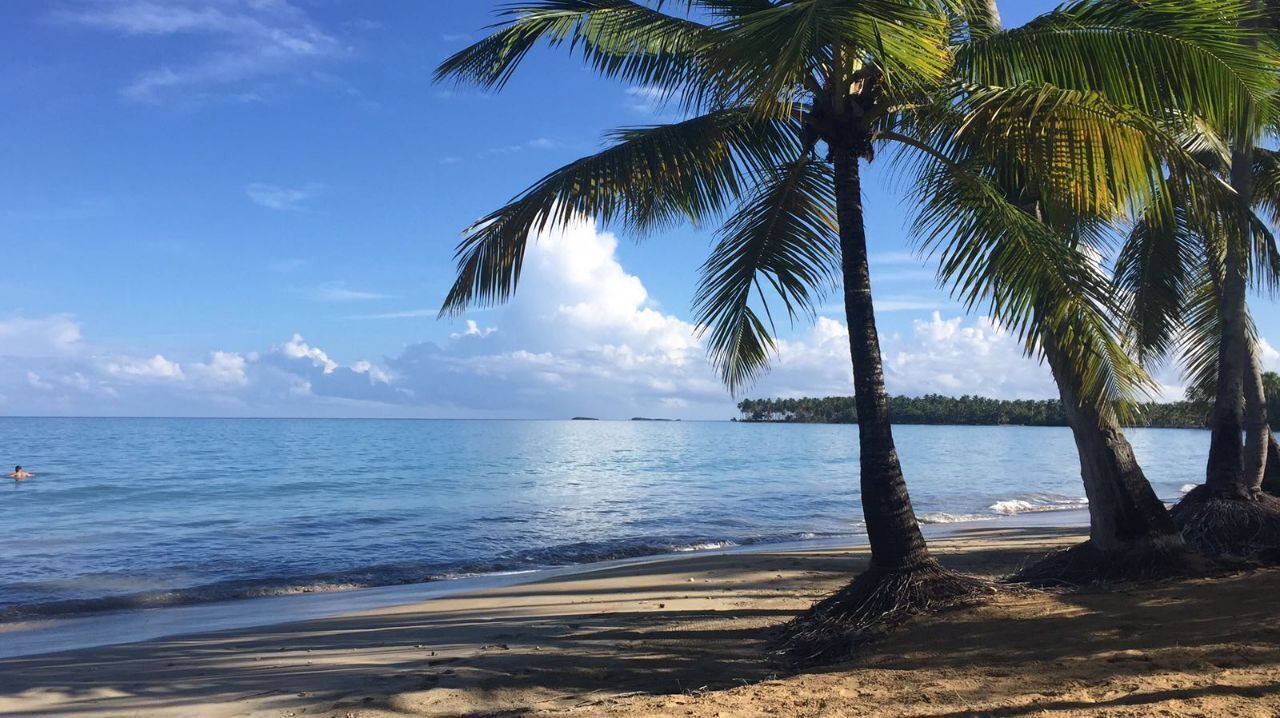 Photo of Others in Las Terrenas