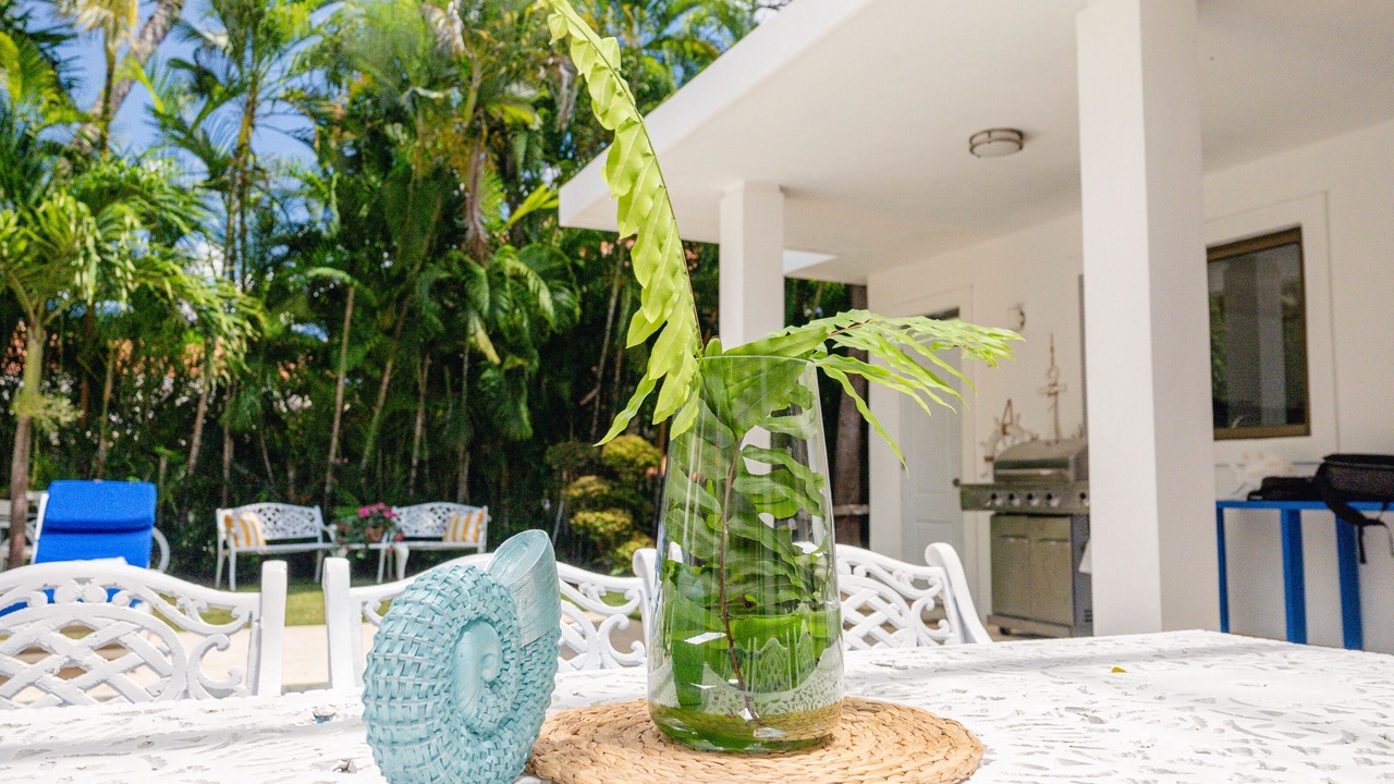 Photo of Outdoor in Punta Cana Village