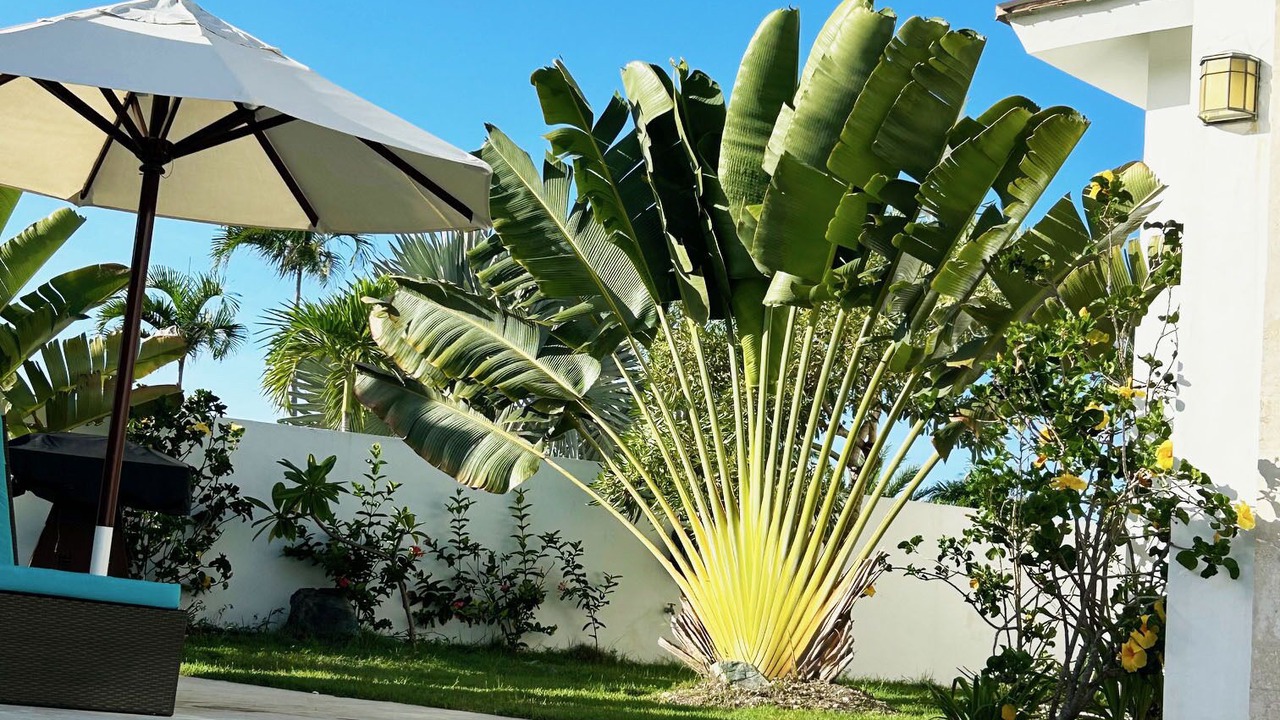 Photo of Outdoor in Puerto Plata
