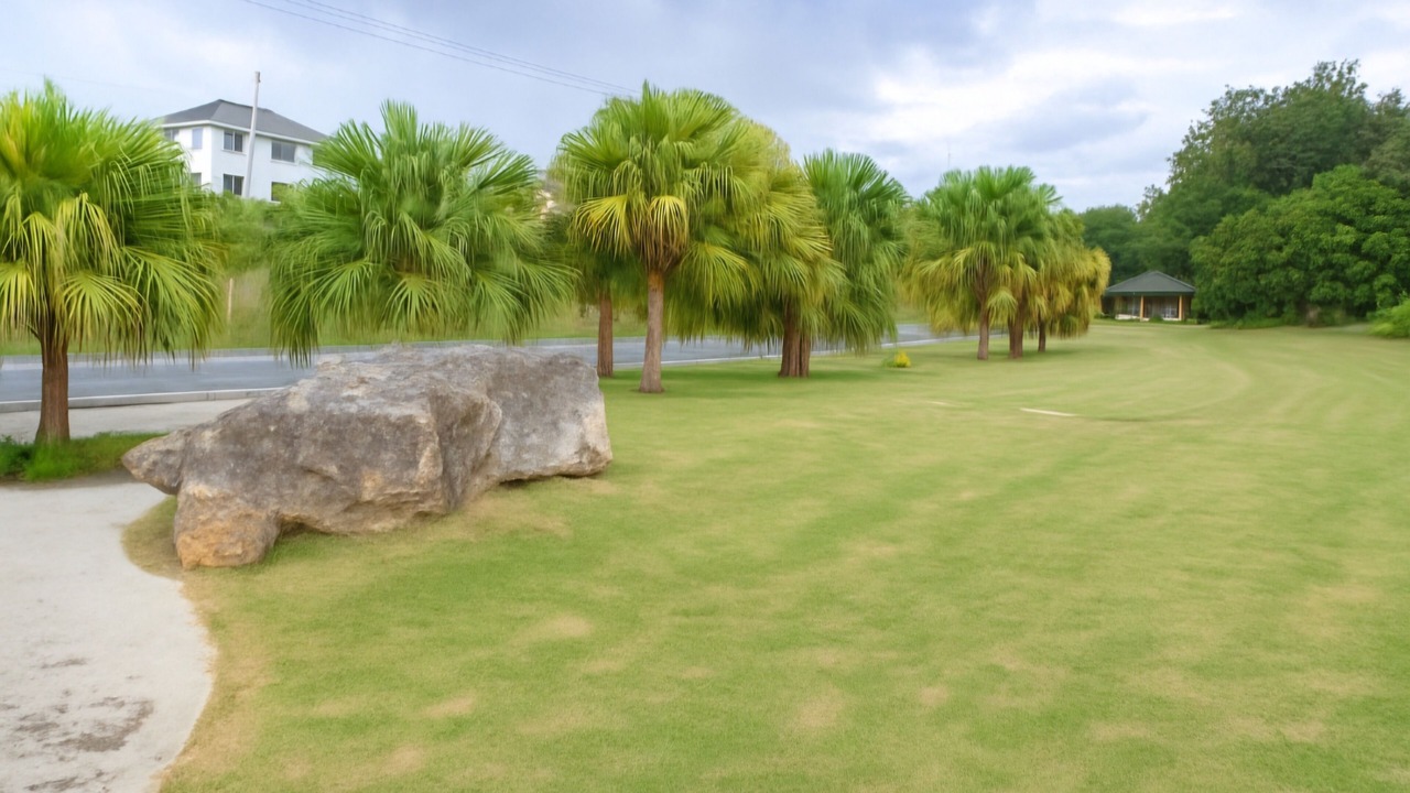 Photo of Outdoor in Santo Domingo Oeste