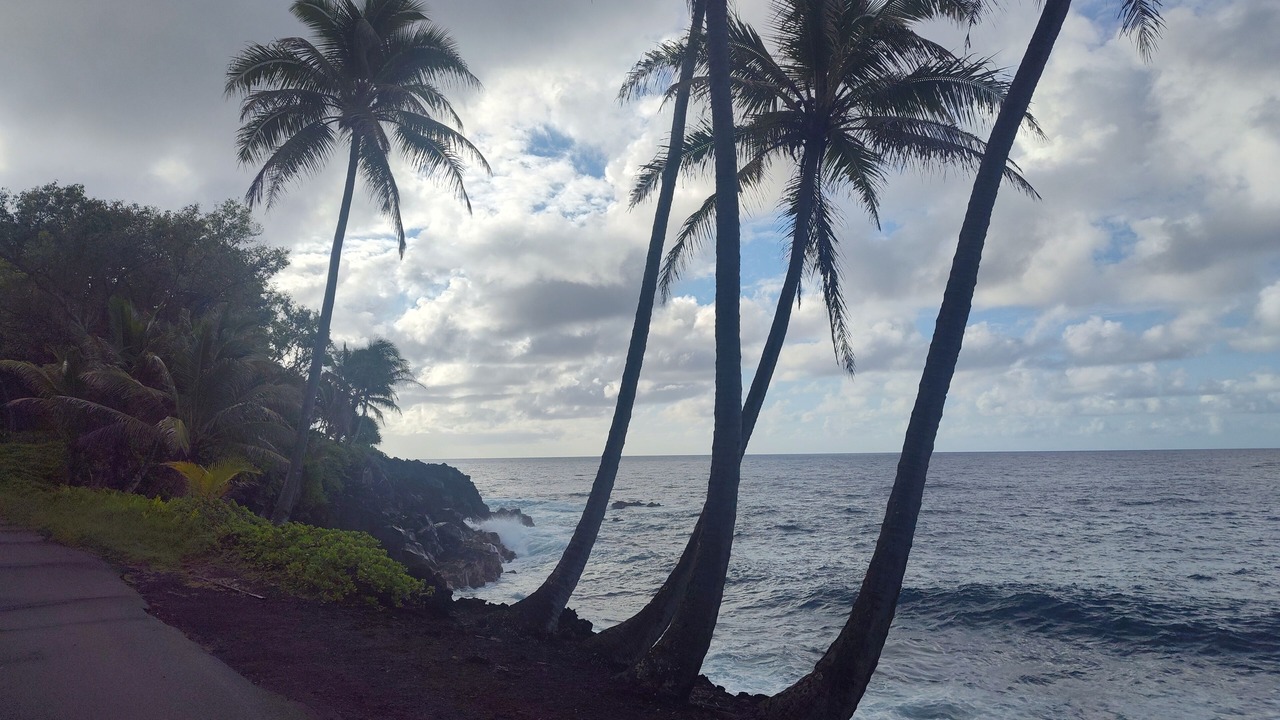 Photo of Others in Kapoho