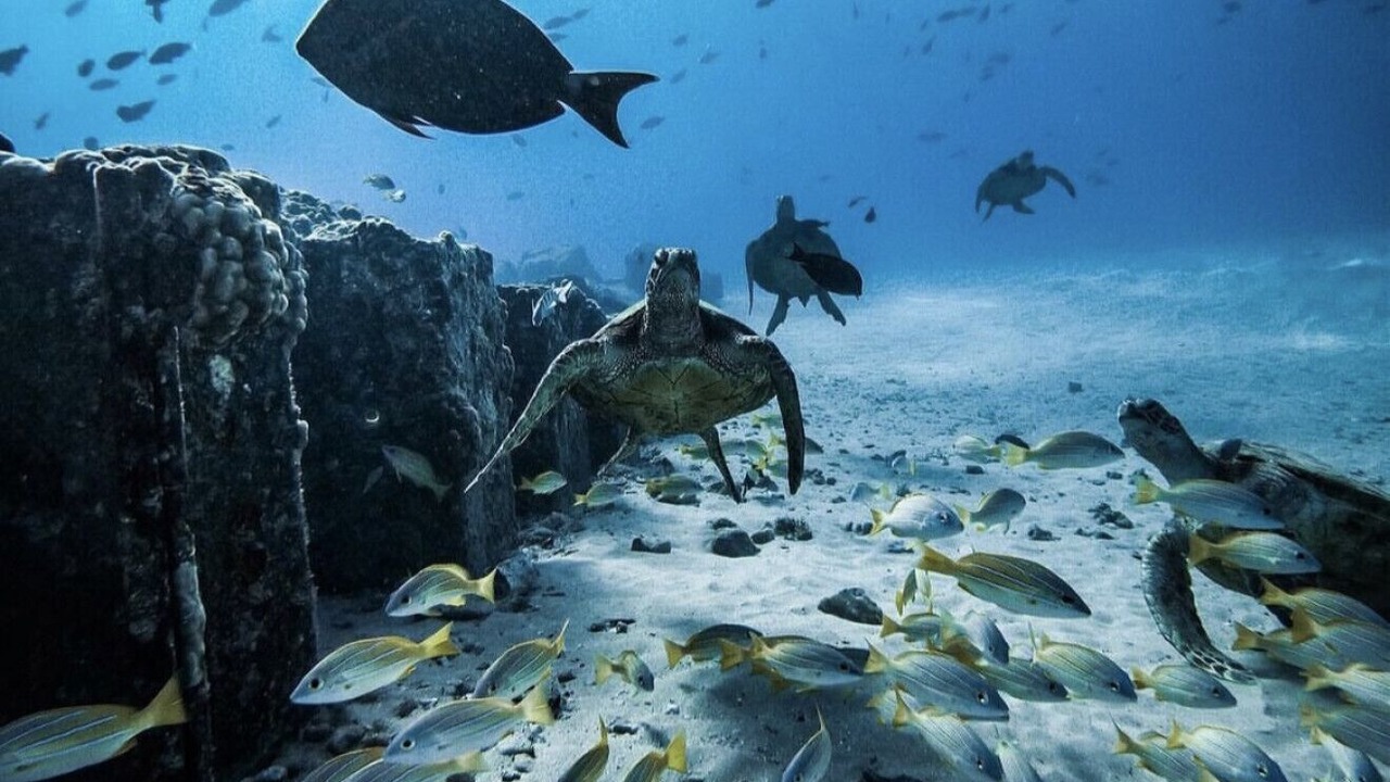 Photo of Others in Makaha Valley