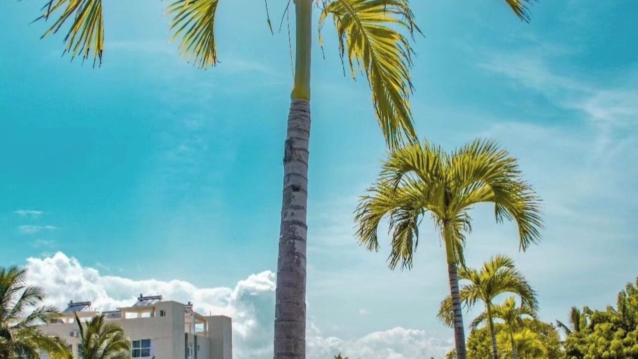 Photo of Outdoor in Punta Cana