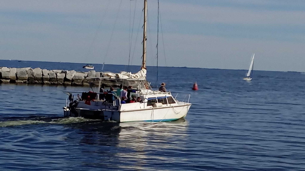Photo of Others in Sun Bay South