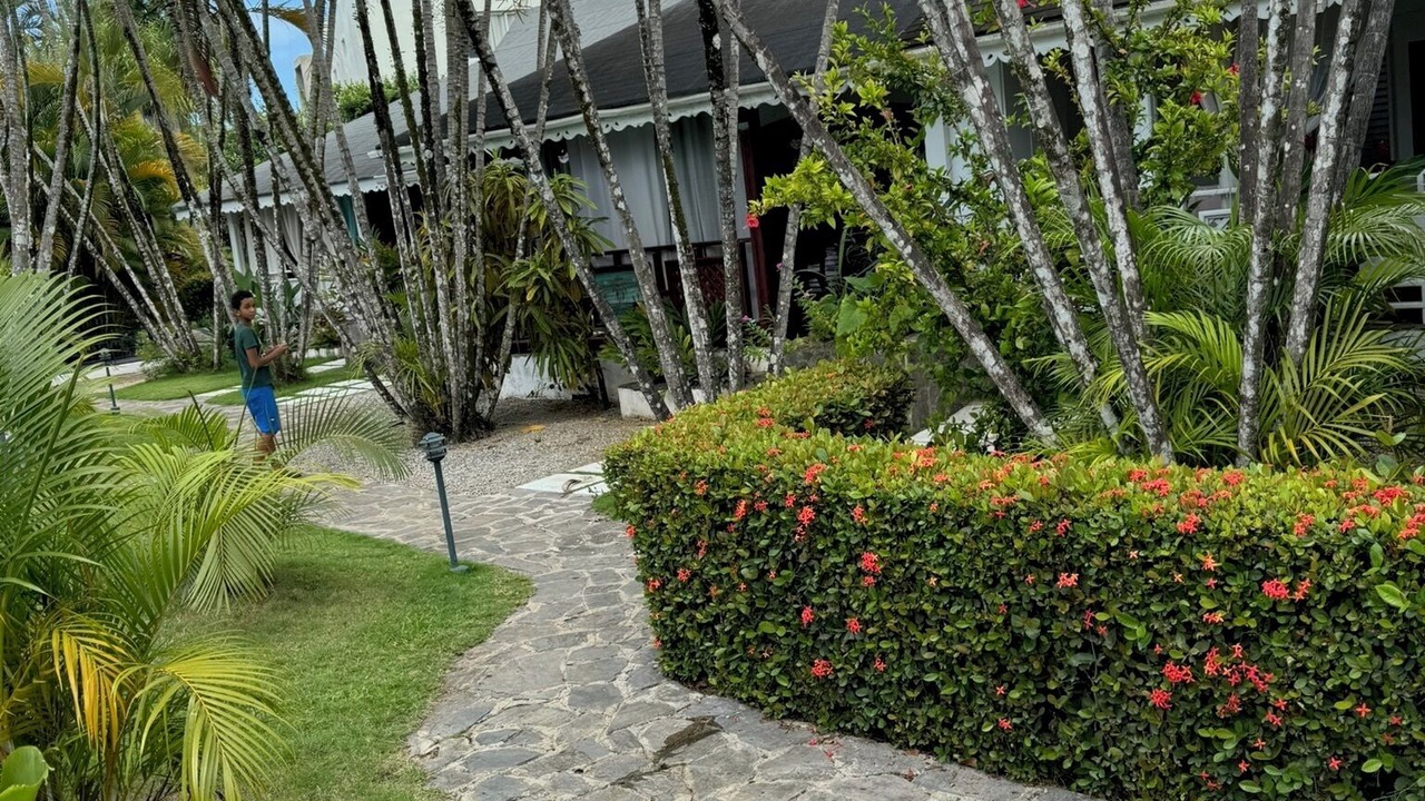 Photo of Outdoor in Las Terrenas