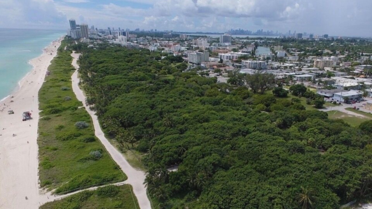 Photo of Outdoor in North Beach