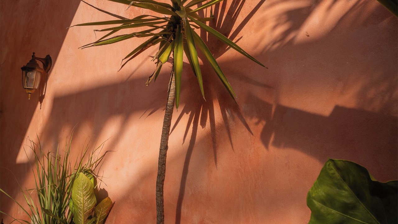 Photo of Outdoor in Zona Colonial