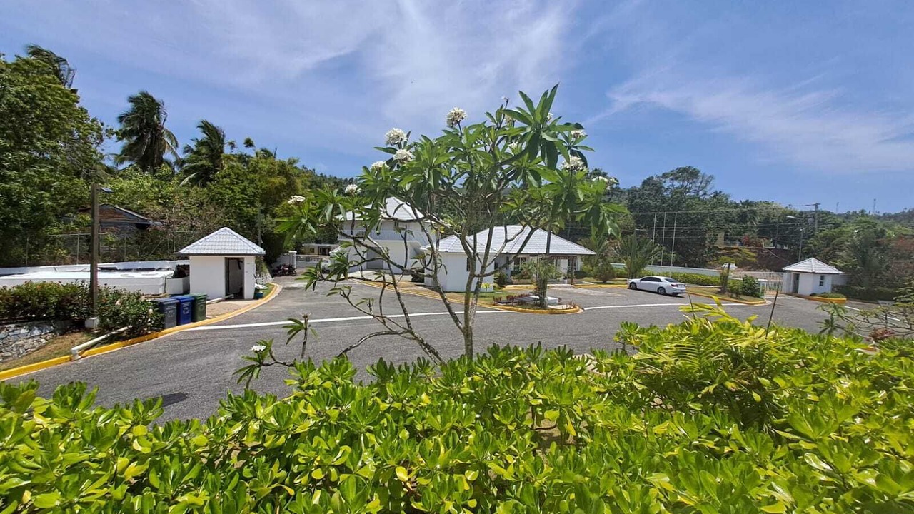 Photo of Outdoor in Samana