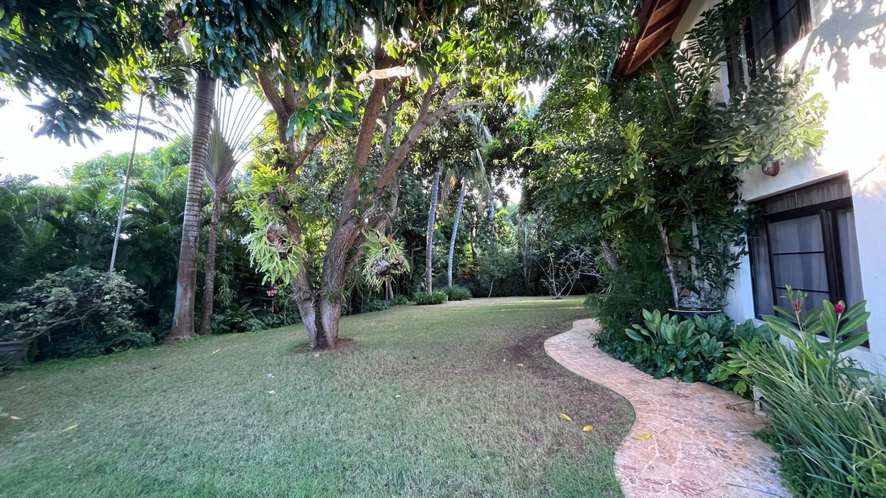 Photo of Outdoor in Los Lagos