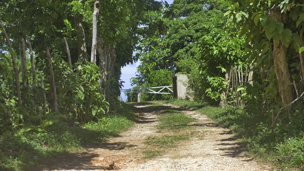 Photo of Outdoor in Las Terrenas