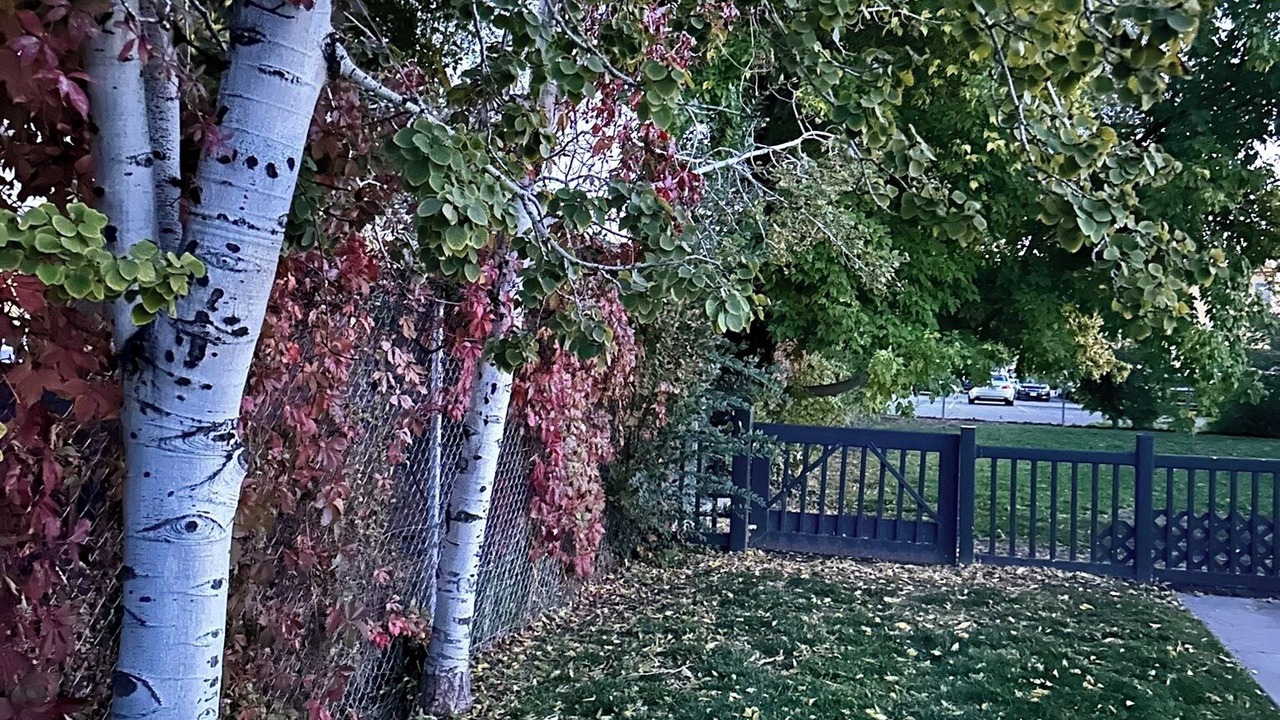 Photo of Outdoor in South Salt Lake