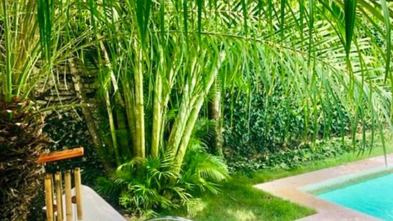 Photo of Outdoor in Las Terrenas