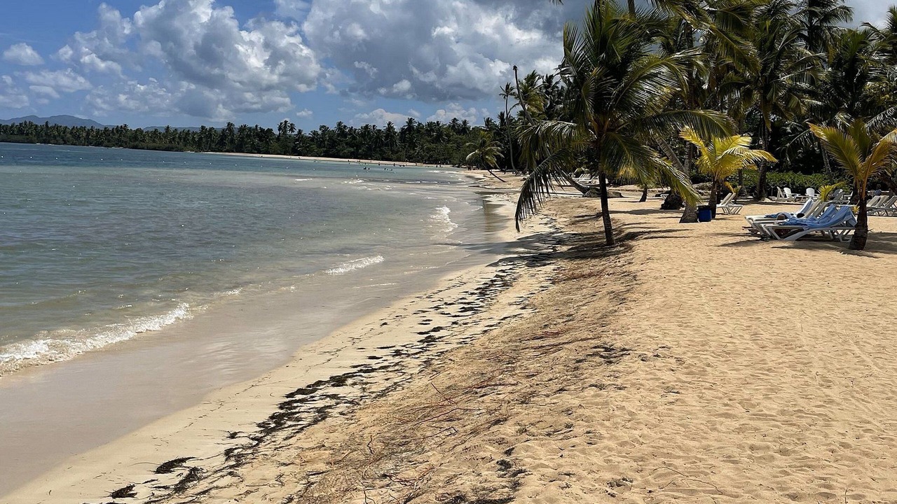 Photo of Others in Las Terrenas