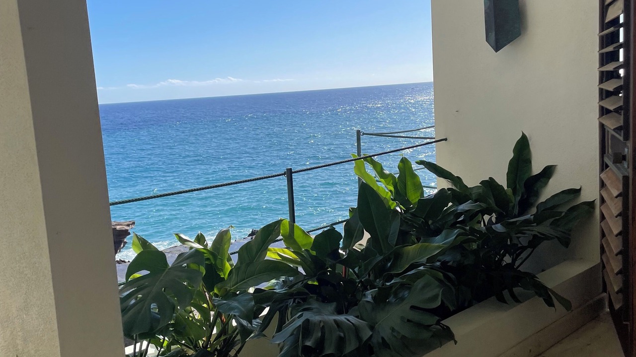 Photo of Outdoor in Hawaii Kai