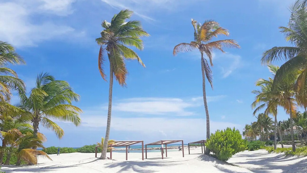 Photo of Others in Cap Cana Marina