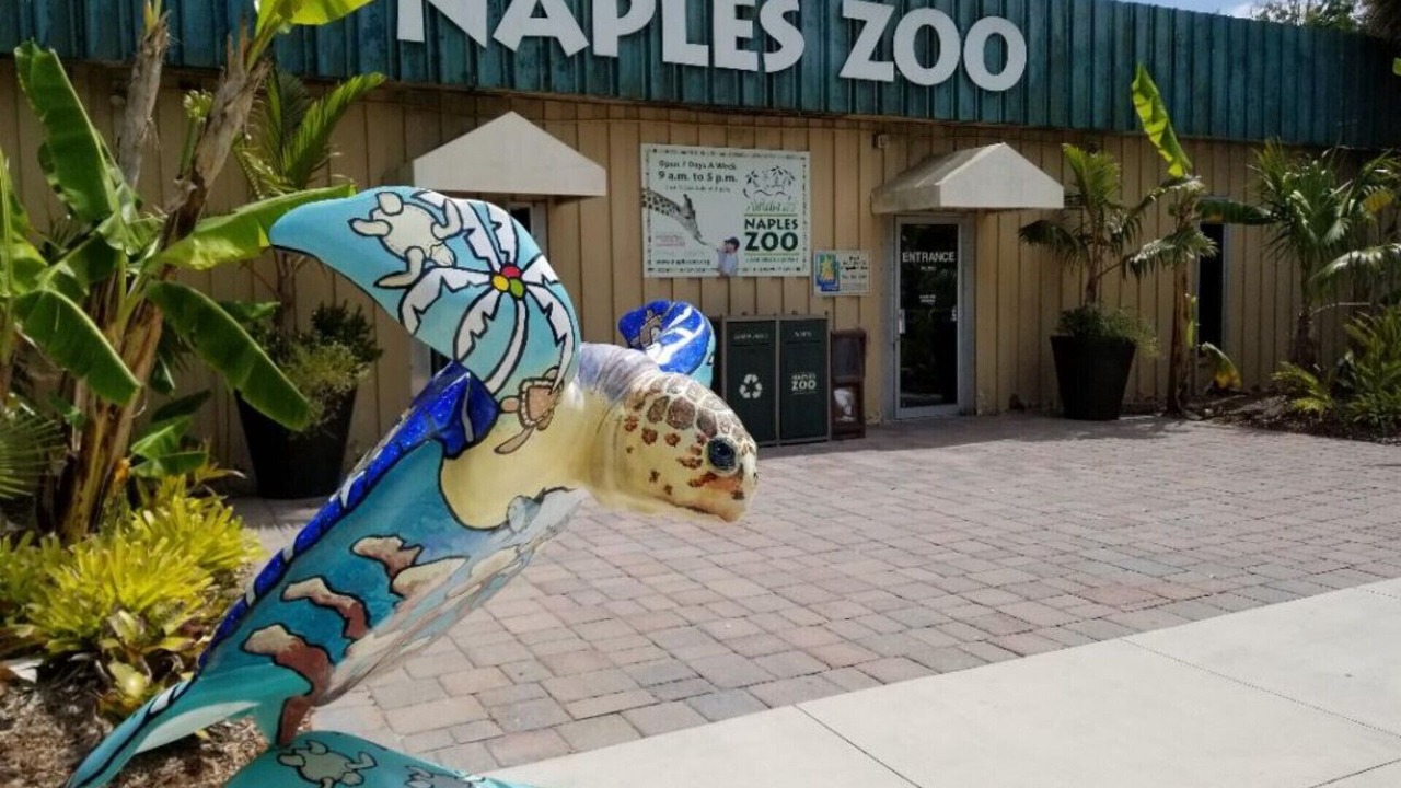 Photo of Outdoor in Naples Park