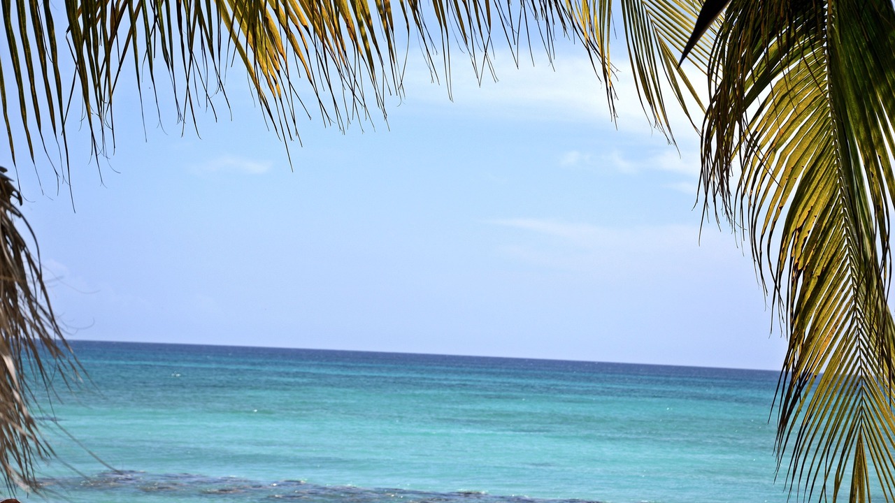 Photo of Others in Dominicus