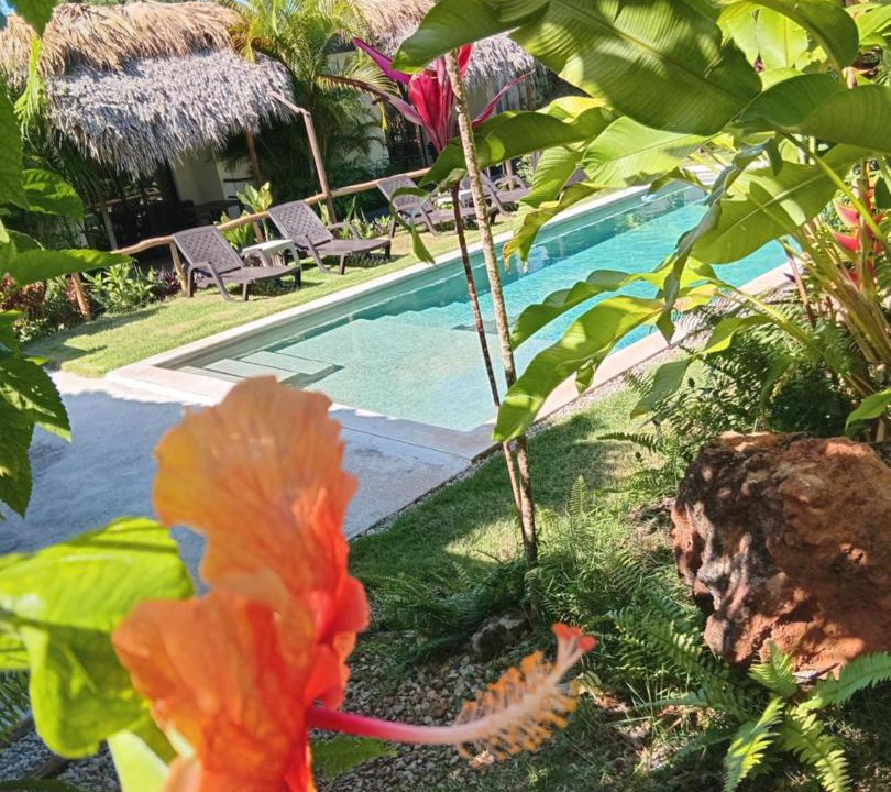 Photo of Others in Las Galeras