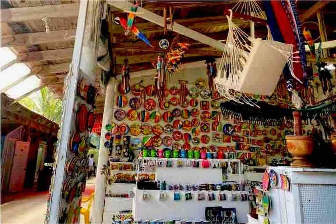 Photo of Others in Playa Bibijagua