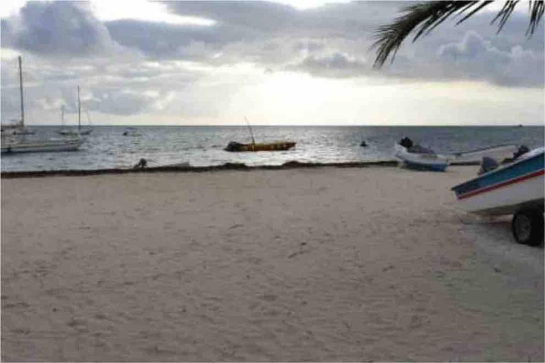 Photo of Others in Playa Bibijagua