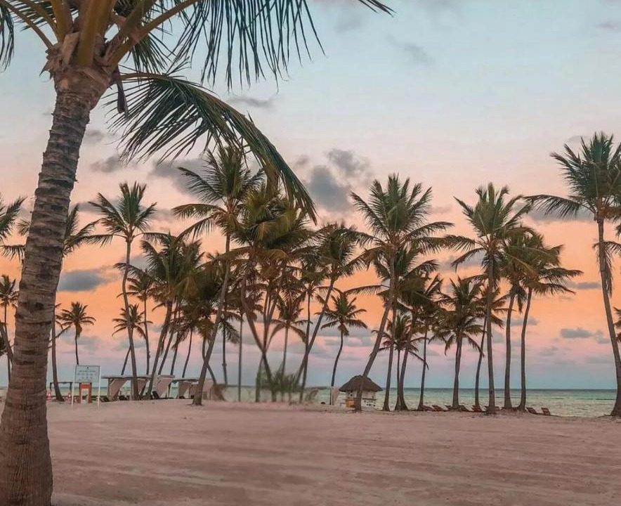 Photo of Others in Punta Cana