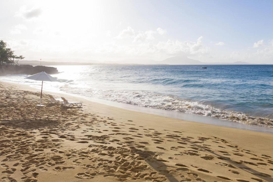 Photo of Others in Playa Chiquita