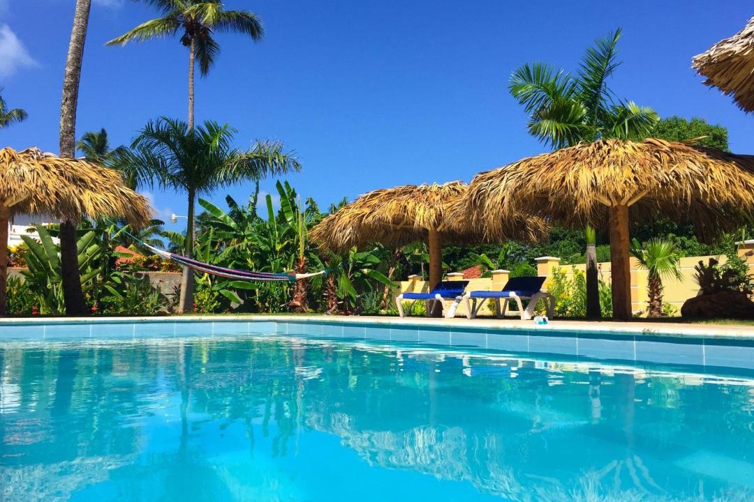 Photo of Others in Las Galeras