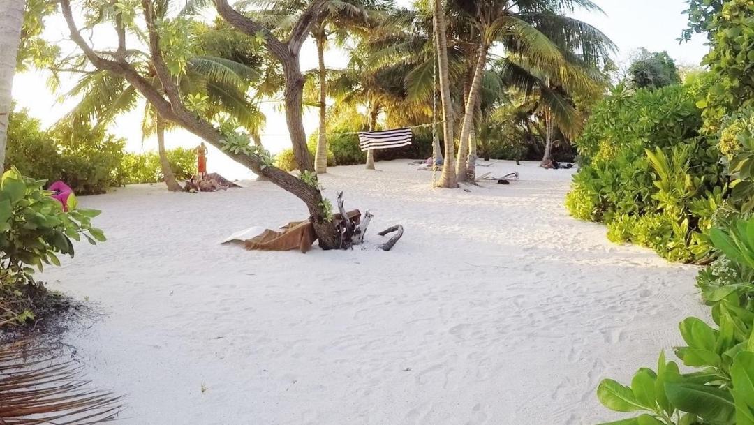 Photo of Others in Thoddoo