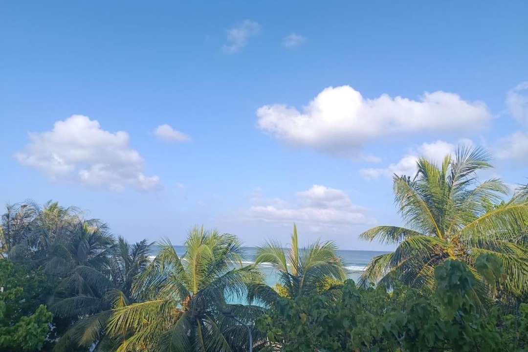 Photo of Others in Hulhumale