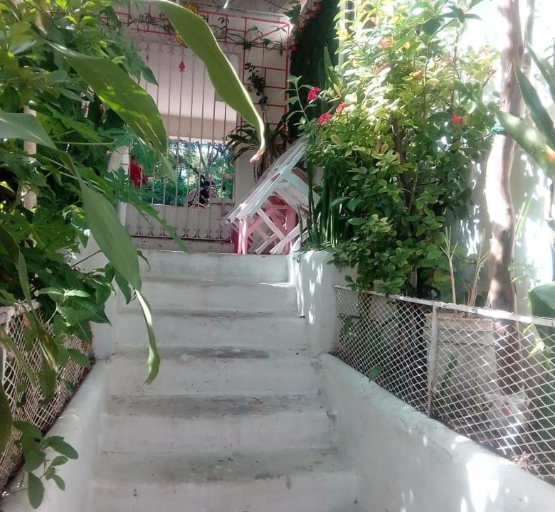 Photo of Others in Santo Domingo