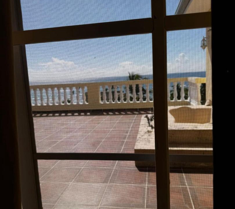 Photo of Others in Boca Chica
