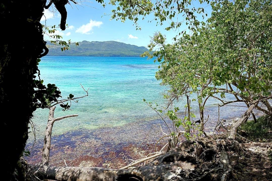 Photo of Others in Las Galeras
