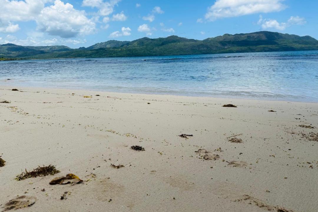 Photo of Others in Las Galeras