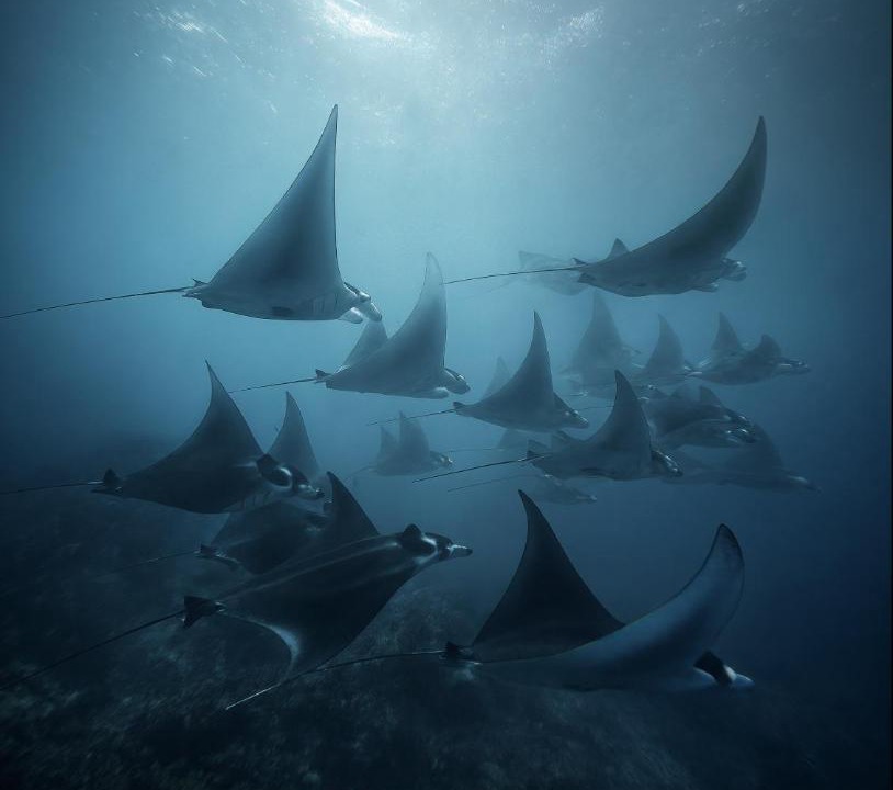 Photo of Others in Maafushi