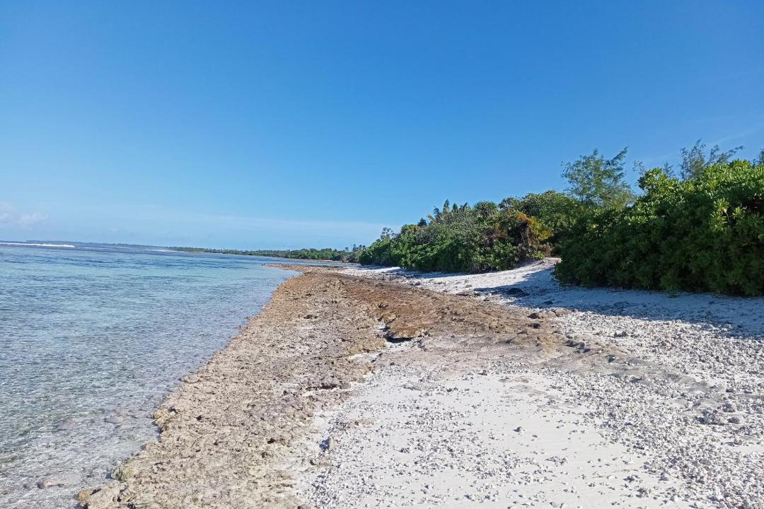 Photo of Others in Fiyoari Island