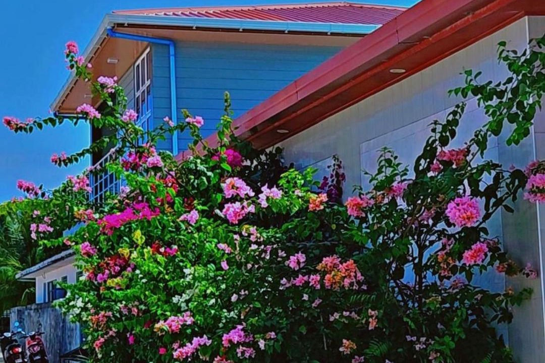 Photo of Others in Milandhoo