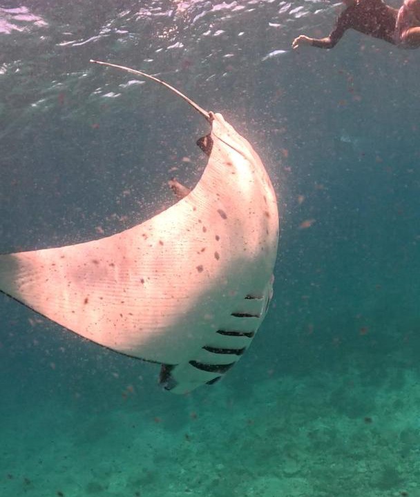 Photo of Others in Dhigurah